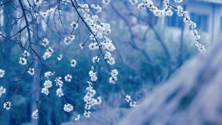 简略图