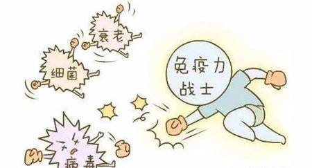 简略图