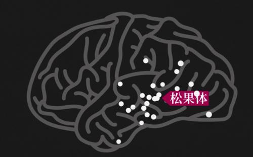 简略图